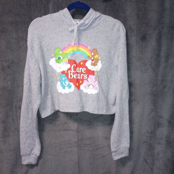 Care Bears Gray Crop Graphic Pullover Hoodie Size Medium NWT P2P 22 Length 19 - Picture 1 of 7